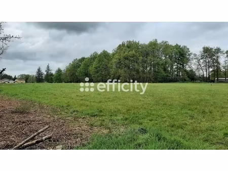 terrain - 2280 m²
