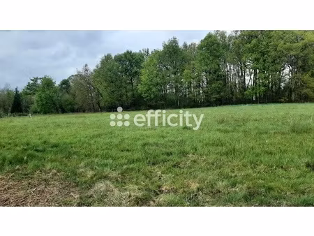terrain - 2298 m²