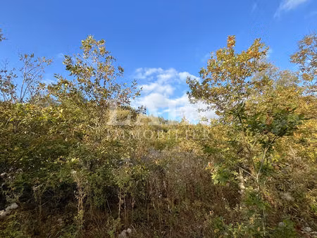domaine forestier de 2 hectares  à vendre - secteur soligny la trappe  réf m14215