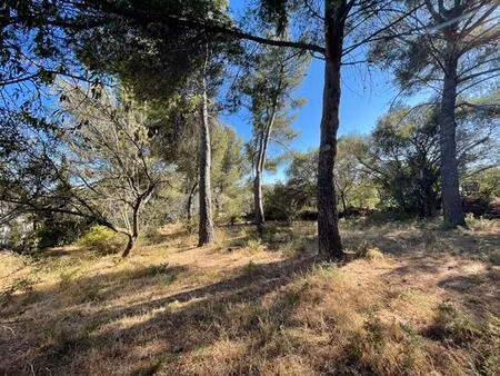 vente terrain 453 m² six-fours-les-plages (83140)