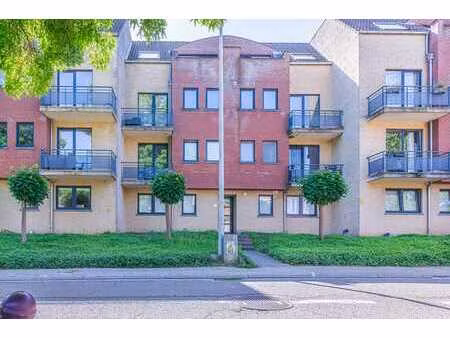 appartement 2 chambres avec terrasse spacieuse louvain