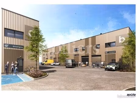 local 531 m²