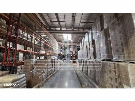 local logistique 4 217 m²