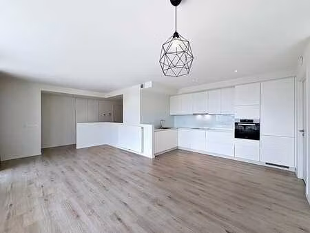 appartement lumineux avec parking à vendre à schaerbeek