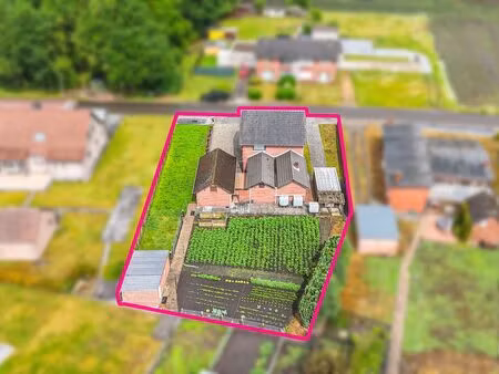 maison à vendre à helchteren € 329.000 (lp1va) - immofusion | zimmo