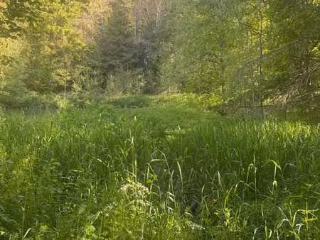 terrain agricole boisé 10000m² à vendre à lawrence
