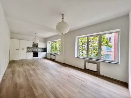 appartement 1 ch. lumineux  plasky/diamant