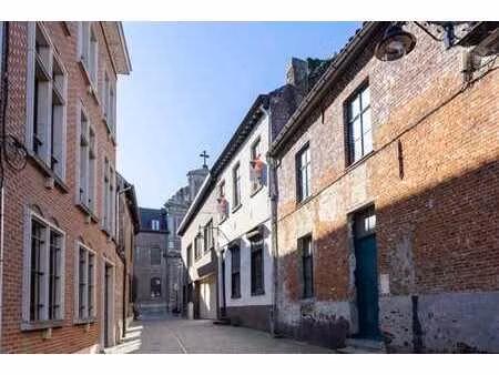 maison de maître à rénover au cœur d'alost !