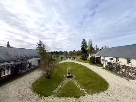 vente propriété 15 pièces 480 m² à pressigny-les-pins (45290)  780 000 €