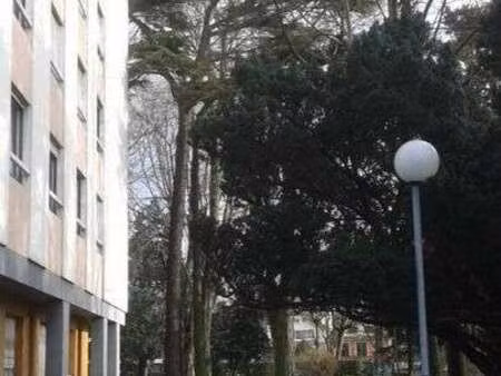 location appartement t1 meublé à l'haÿ-les-roses (94240) : à louer t1 meublé / 17m² l'haÿ-