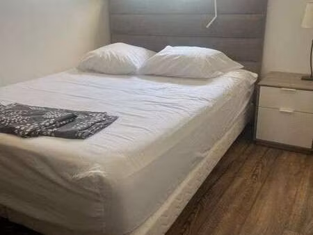 location appartement t1 meublé à nogent-sur-marne (94130) : à louer t1 meublé / 15m² nogen
