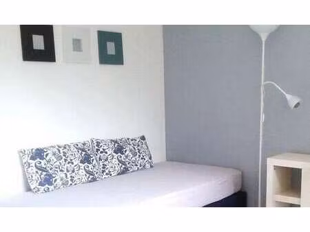 location appartement t1 meublé à palaiseau (91120) : à louer t1 meublé / 20m² palaiseau