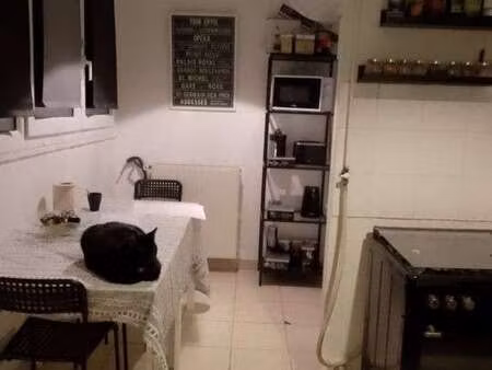 location appartement t1 meublé à bagneux (92220) : à louer t1 meublé / 12m² bagneux