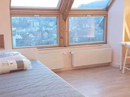 location appartement t1 meublé à orsay (91400) : à louer t1 meublé / 18m² orsay