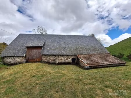 grange avec appartement - vue magnifique sur le sancy