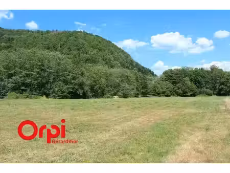 terrain 17089 m2