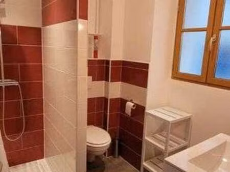 location appartement t1 meublé à bagnères-de-bigorre (65200) : à louer t1 meublé / 21m² ba