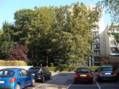 location appartement t1 à lille (59000) : à louer t1 / 19m² lille