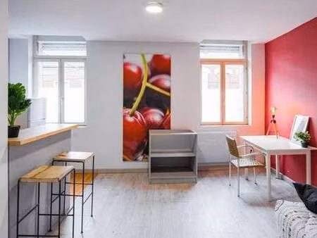 location appartement t1 meublé à valenciennes (59300) : à louer t1 meublé / 24m² valencien