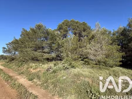 vente terrain à pinet (34850) : à vendre / 8424m² pinet
