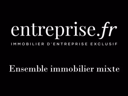 vente local d’activités angers 49100 605m²