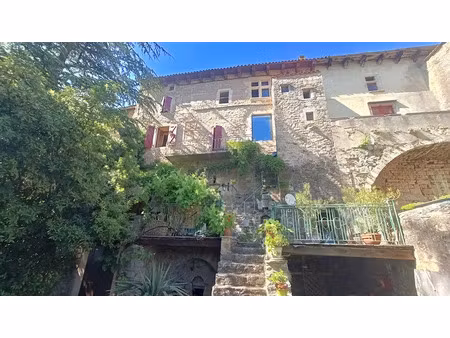 vente maison 5 pièces 200 m² à sainte-eulalie-de-cernon (12230)  335 000 €
