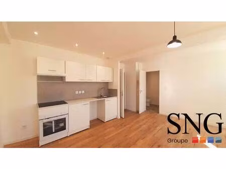 s.n.g immobilier