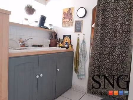 s.n.g immobilier