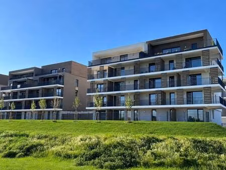 lingenheld immobilier