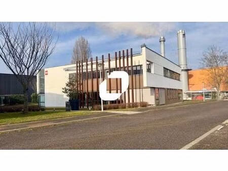 immprove strasbourg