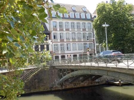 immobiliere du rhin
