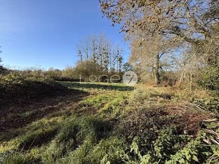 terrain constructible viabilisé à vendre