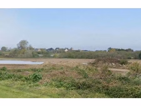 trecobat morlaix