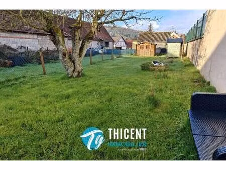 thicent groupe