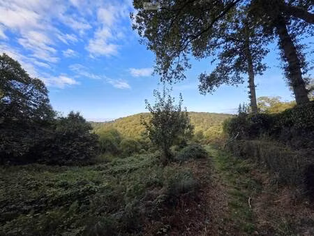 terrain à vendre