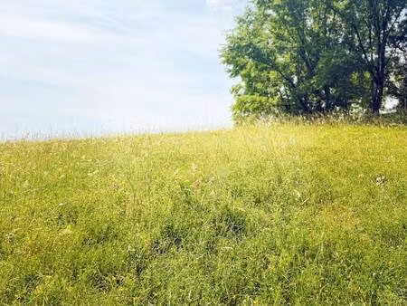 terrain constructible à vendre