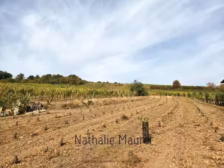 terrain constructible neuf à vendre