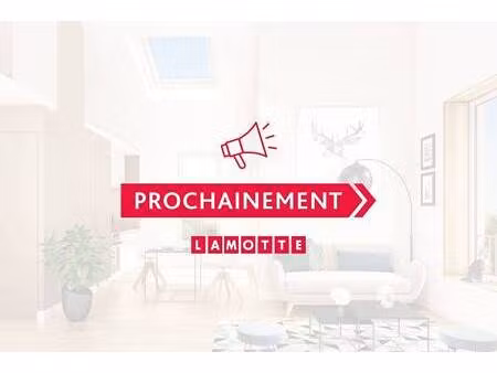 lamotte