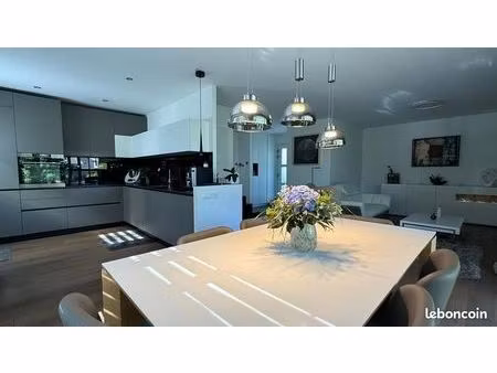 maison contemporaine de standing dans un écrin de verdure - bien rare à blotzheim
