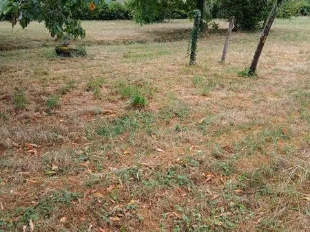 terrain à vendre