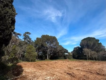 terrain à bâtir - castelnau-le-lez