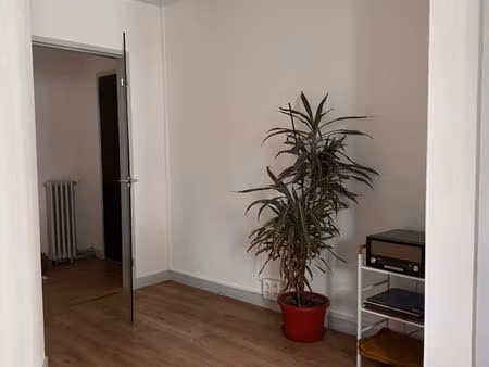 location appartement t3