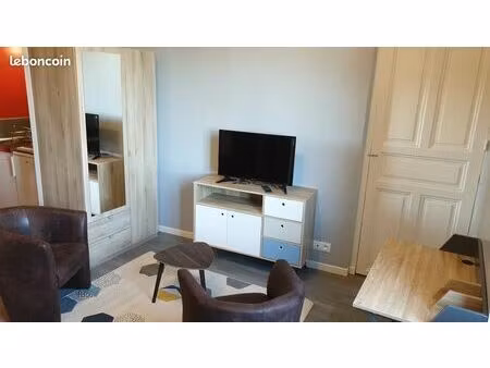 grand studio meublé - centre-ville (appart #1)