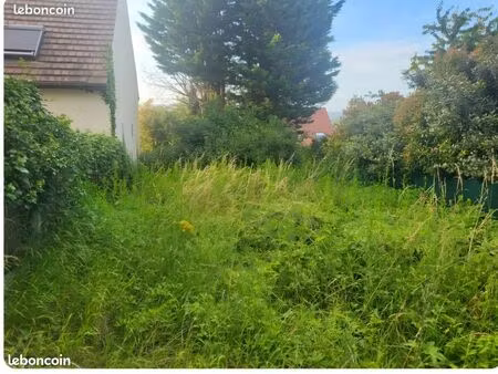 terrain/jardin