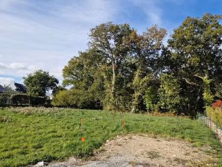 vente terrain à belz (56550) : à vendre / belz