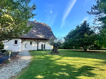 elbach : maison avec piscine dans un environnement privilégi