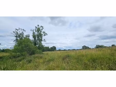 dpt landes (40)  à vendre à poudenx  maison + grange anciennes à rénover sur 1 7 hectare d