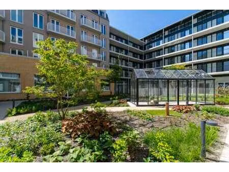 duplex neuf lumineux 2 chambres avec 2 terrasses