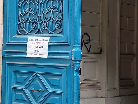 mtoulouse-carnot-bureau en fond de cour de 28 m2