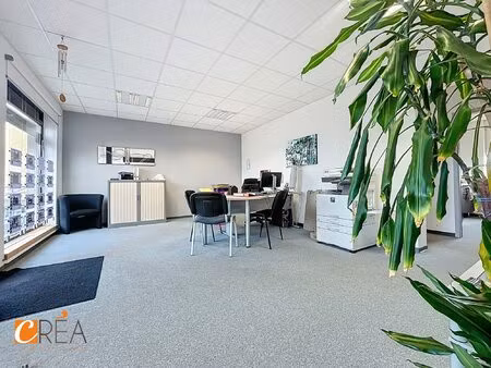 immobilier professionnel à louer wittelsheim